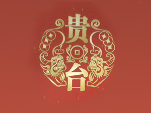 F_(ti)(gu)uƘI(y)޹˾