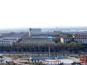 B(nio)Pȫ(gu)\(yn)I(yng)