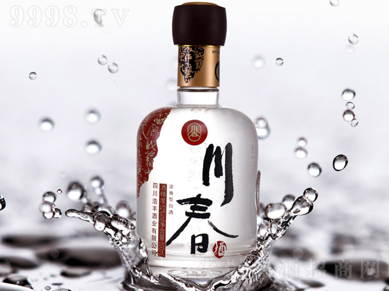 ƣ2010 Ͱ׾ơ52 500ml-׾Ϣ