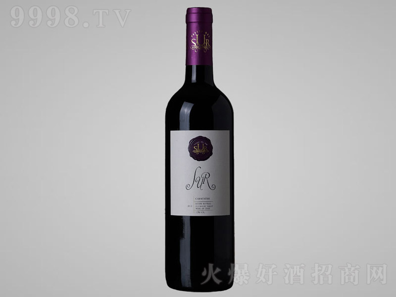 W(jng)PT(mn)ΠɼtѾơ13 750ml