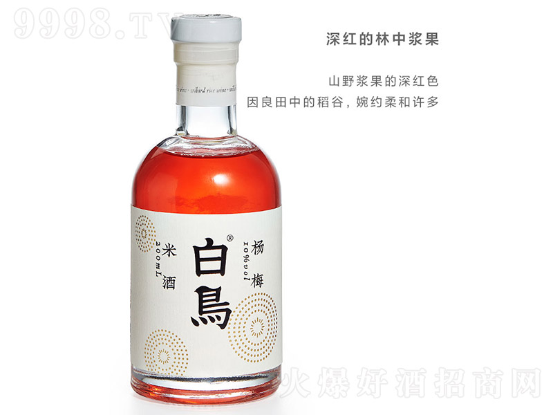 B(nio)÷Ŵ׾ƣƿ10 500ml