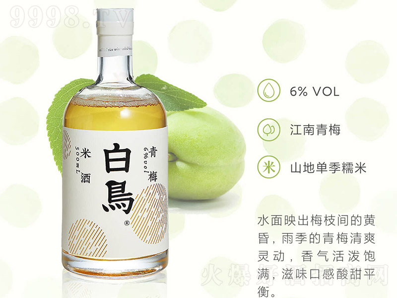 B(nio)÷Ŵ׾ƣƿ6 500ml