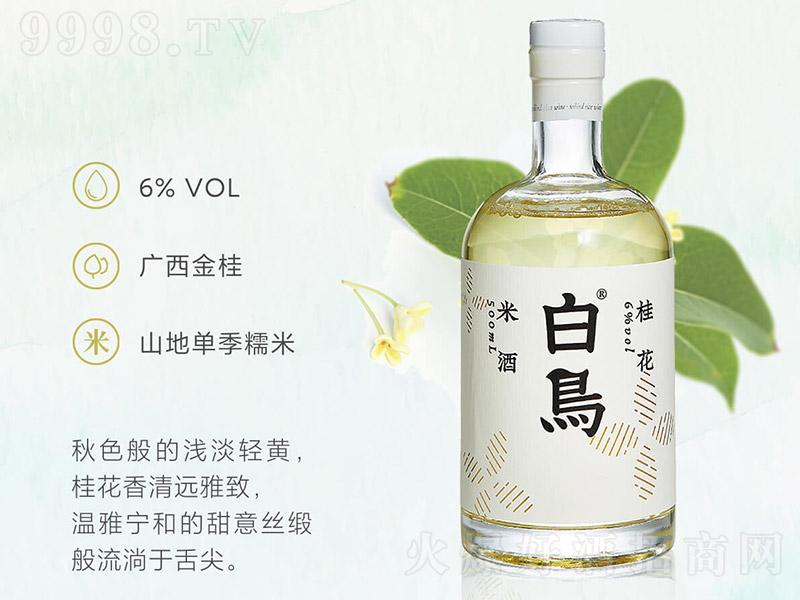 B(nio)Ŵ׾ƣƿ6 500ml