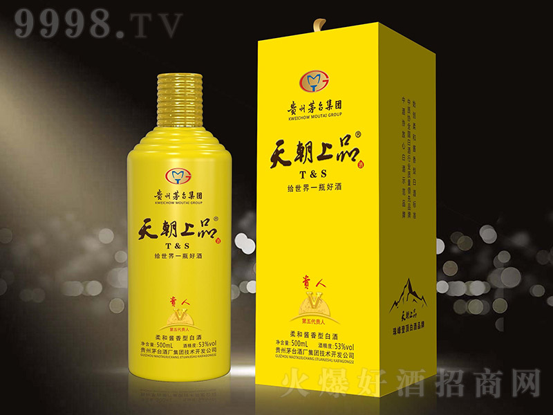 쳯ƷFVSɫ u͡53 500ml