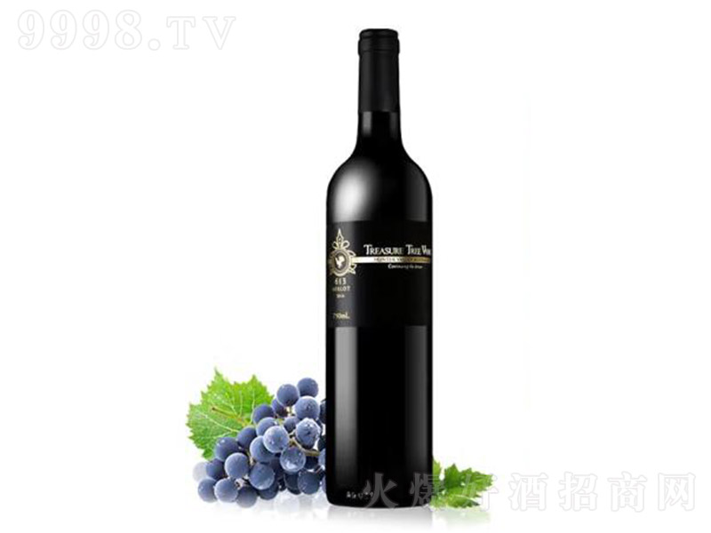 ĴPϼ613tѾ750ml-tϢ