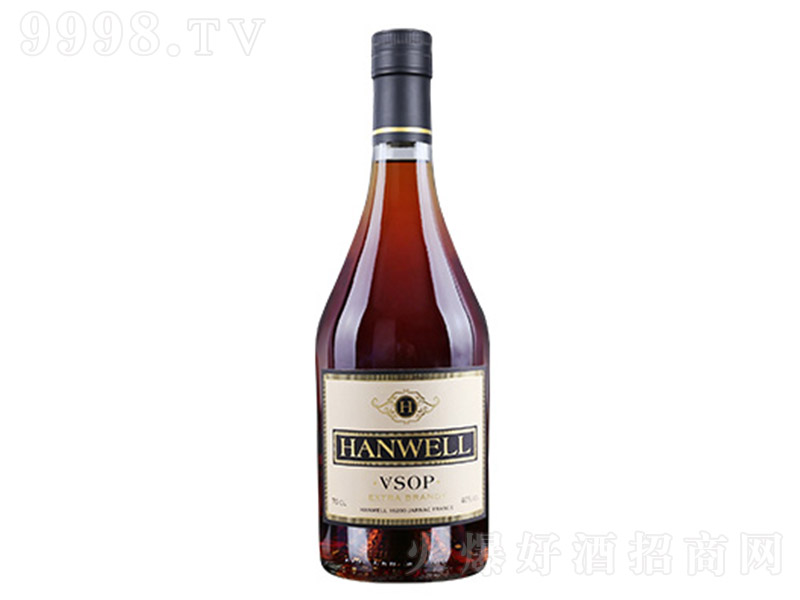 hV.S.O.P.߼mء40 700ml-tϢ