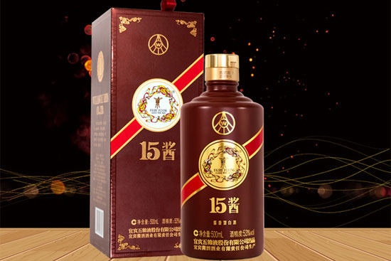 53ZҺ15uֹ棩uͰ׾ƃrXһƿ