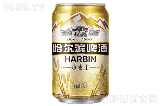 10IСơ330mlr񣬶X