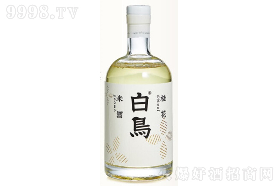 6B׾ ŮʿƵͶȔ(sh)B200mlr(ji)X