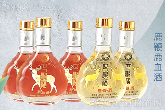 Ⱦƾͺ۸صصüZ۸B(yng)\м