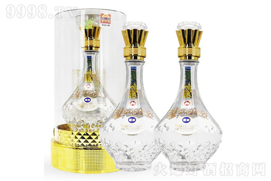 52oᄾҫ ͸߶Ⱦ500mlrX