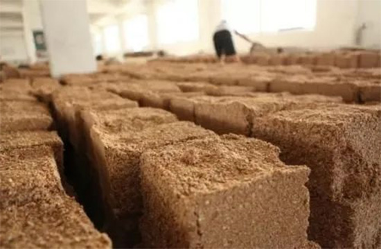 s͟ | һƿuƵĳɱǶ٣