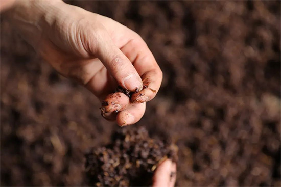 s͟ | һƿuƵĳɱǶ