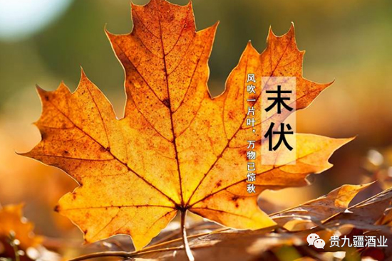 FŽƘI(y)ĩȾ֔(jn)ӛǰ3ƺ3