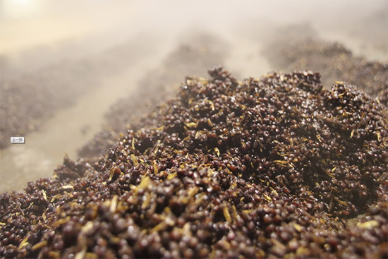 h|Ʒ|(zh)֮ϣΨϾ