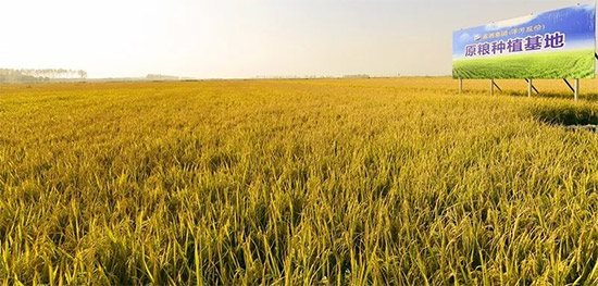 ٫@J(rn)ӹɷݱ衰ʡ(j)M(fi)(chung)\(chng)ƷI(y)