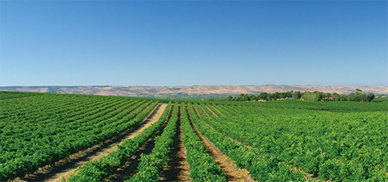 e^ͶYé_ǧfҪe^ͶYԣ