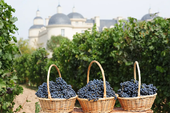 e^ͶYé_ǧfҪe^ͶYԣ