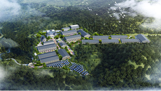 é_(ti)(zhn)ǰʮľƏSFݹᄷƘI(y)é_(ti)(zhn)