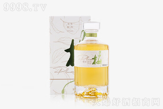 10Kݘζ÷500mlrX