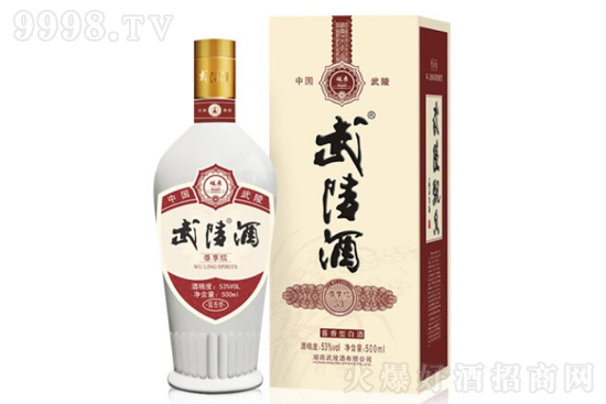 53500mlr(ji)X(qin)