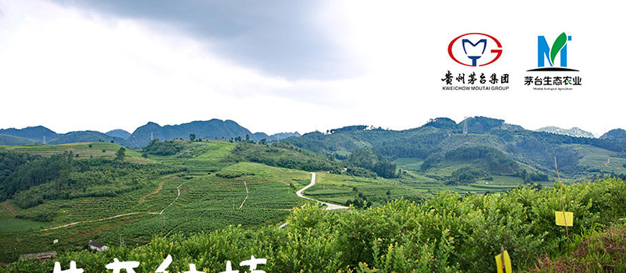 Fé_(ti)F(tun)B(ti)r(nng)I(y)a(chn)I(y)l(f)չ޹˾