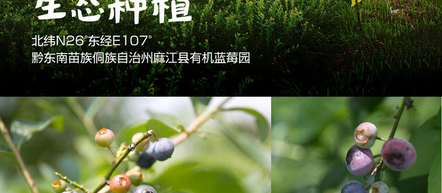 Fé_(ti)F(tun)B(ti)r(nng)I(y)a(chn)I(y)l(f)չ޹˾