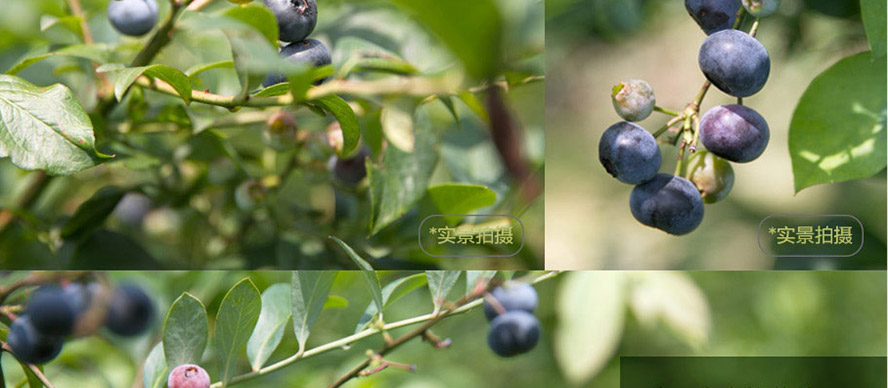 Fé_(ti)F(tun)B(ti)r(nng)I(y)a(chn)I(y)l(f)չ޹˾