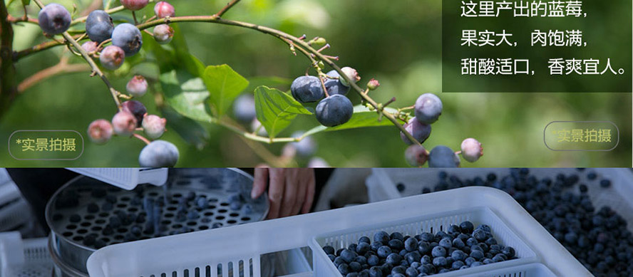 Fé_(ti)F(tun)B(ti)r(nng)I(y)a(chn)I(y)l(f)չ޹˾