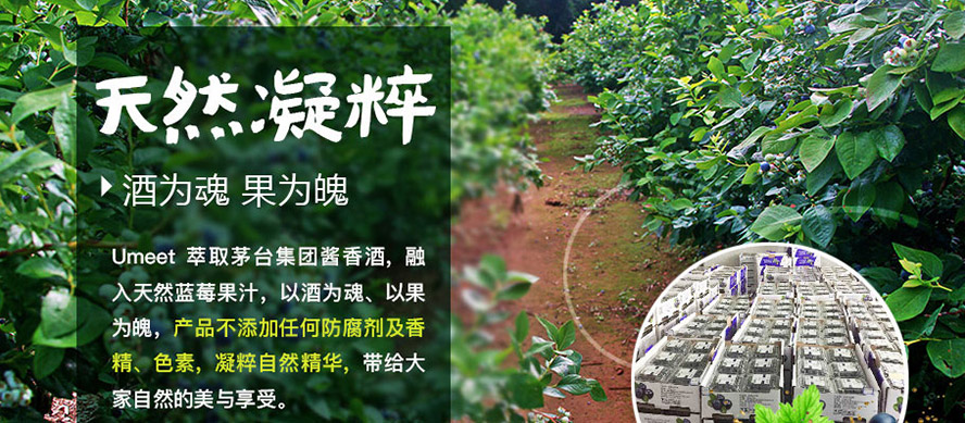 Fé_(ti)F(tun)B(ti)r(nng)I(y)a(chn)I(y)l(f)չ޹˾