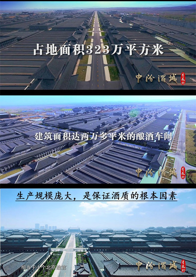 杏花村酒保齡球53°475ml清香型白酒