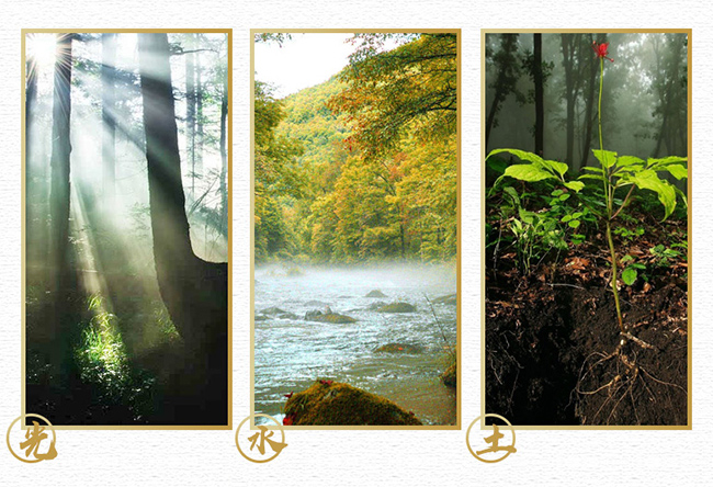 人參酒禮盒【52°500ml×2】