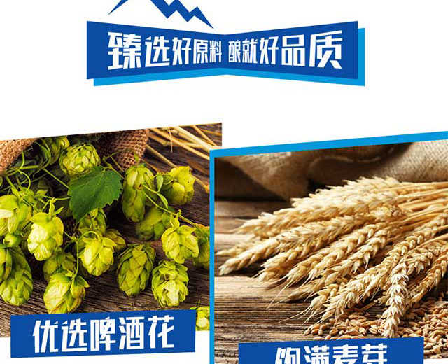 凱盾精釀原漿啤酒10L