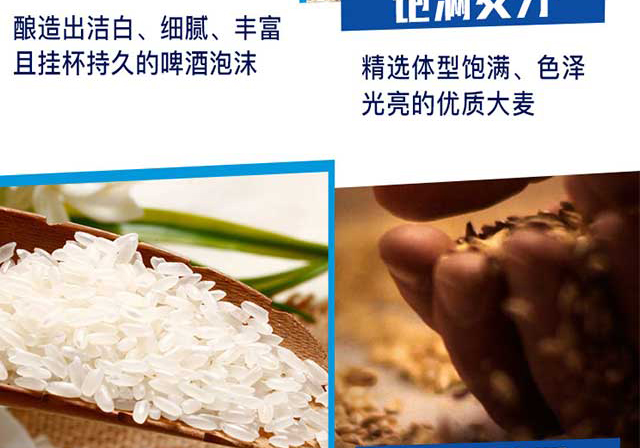 凱盾精釀原漿啤酒10L