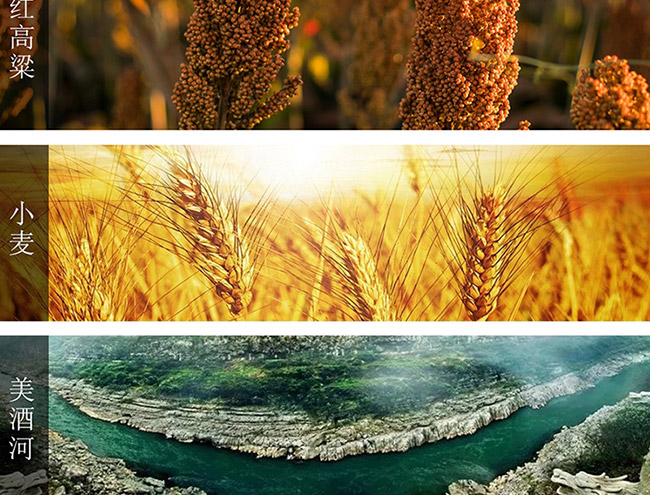 茅臺(tái)醇酒1992柔和醬香型白酒【53°500ml】