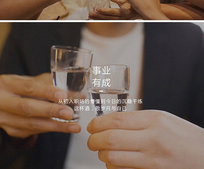 茅臺(tái)醇酒1998柔和醬香型白酒【53°500ml】