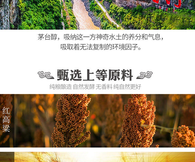 茅臺(tái)醇酒2008柔和醬香型白酒【53°500ml】