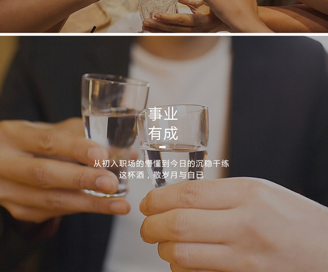 茅臺(tái)醇酒2008柔和醬香型白酒【53°500ml】