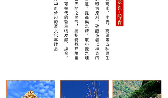 純糧酒窖藏1978特釀級醬香型白酒【53度500ml】