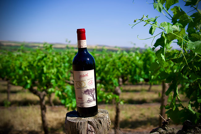 百樂莊榮耀之路西拉子干紅葡萄酒