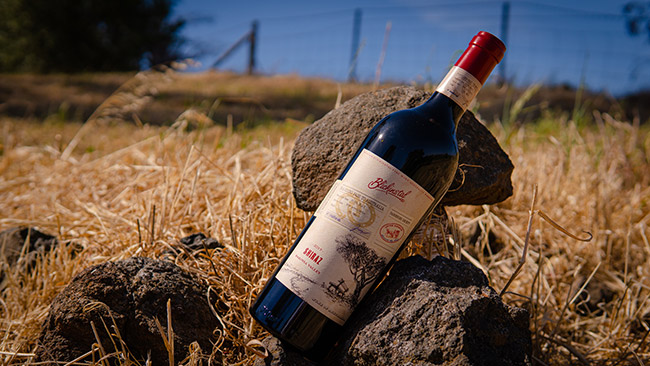 百樂莊榮耀之路西拉子干紅葡萄酒