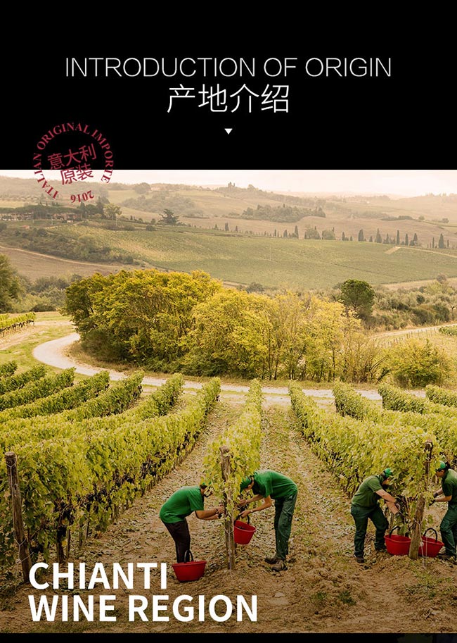 意大利彼奇尼坎特尼紅葡萄酒