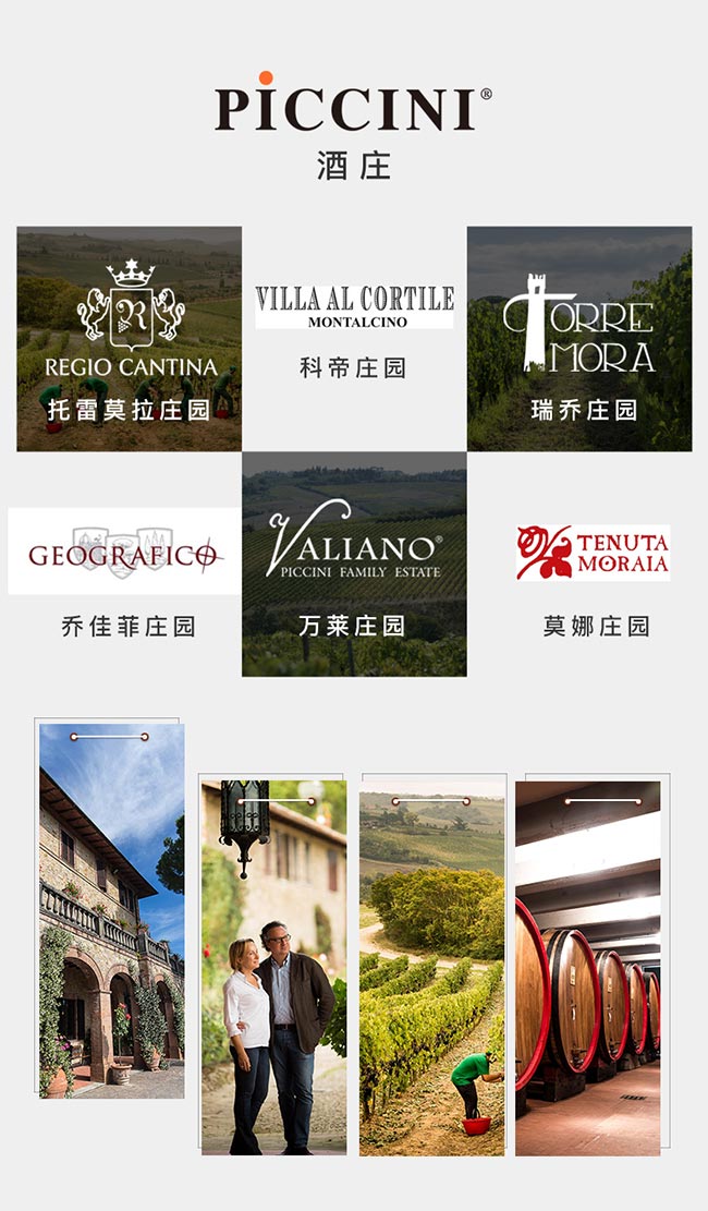 意大利彼奇尼坎特尼紅葡萄酒
