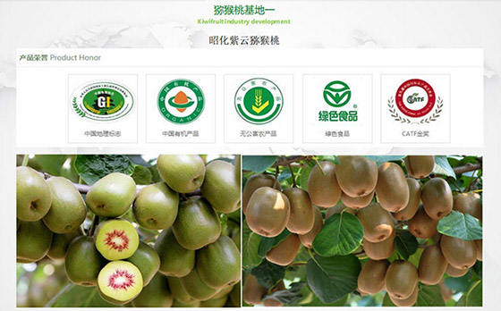 舌伊歐獼猴桃酒