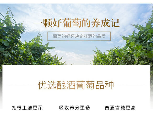 勝幻星星之火干紅葡萄酒