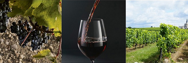 富貴匜上品干紅葡萄酒14度750ml