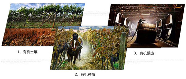 凱巖城有機(jī)干紅葡萄酒