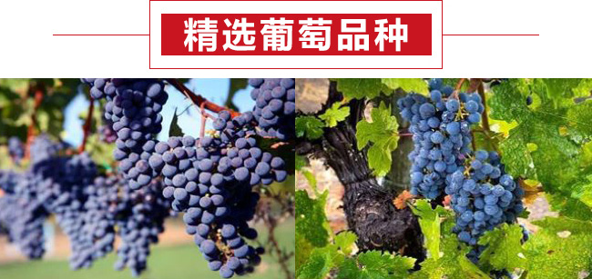 凱巖城15度干紅葡萄酒