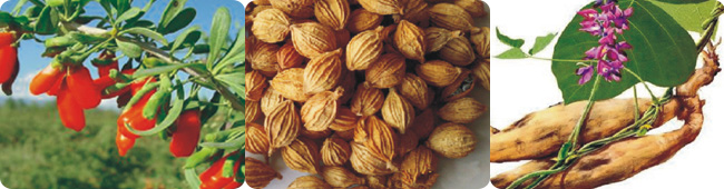 勵(lì)酒口杯酒35度100ml