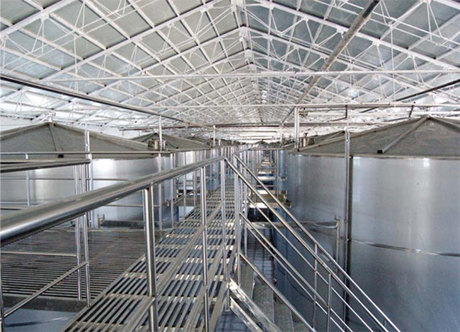 勵(lì)酒口杯酒35度100ml